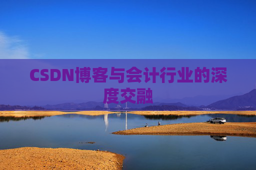 CSDN博客与会计行业的深度交融
